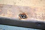Installing New Clinch Nuts in the Rear Cross Subrail