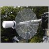 dish1.jpg